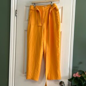 Yellow Aritzia Wilfred Tiefront Pants. Size 8.